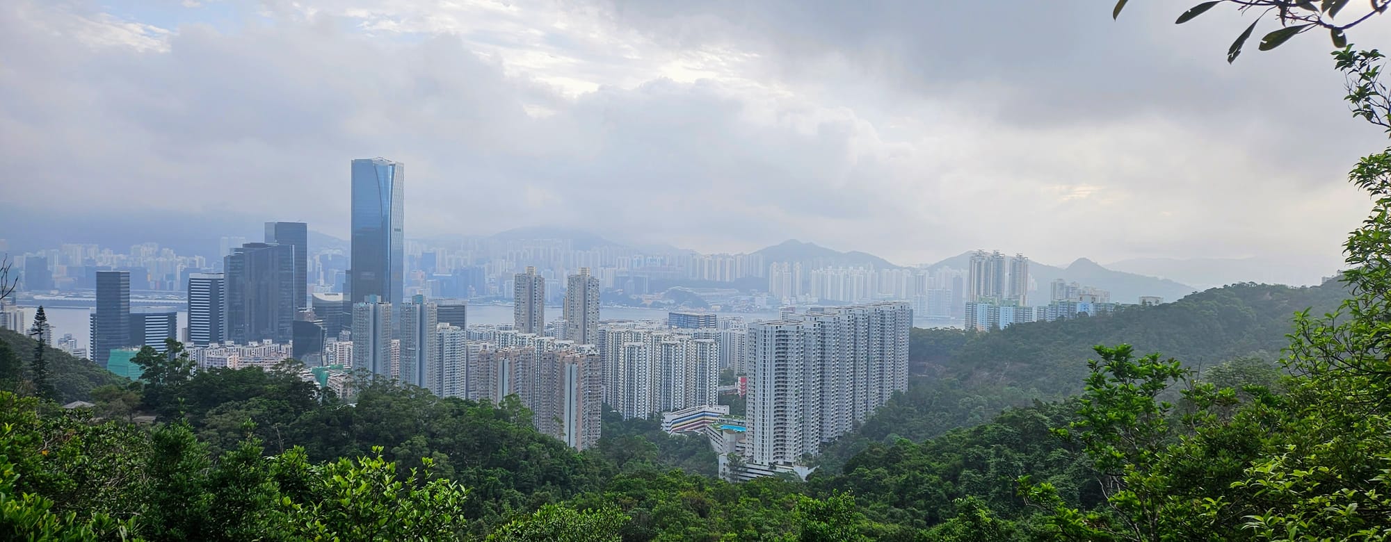 Urban Jungle