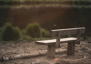 Career Transition and Loneliness: An Honest Reflection